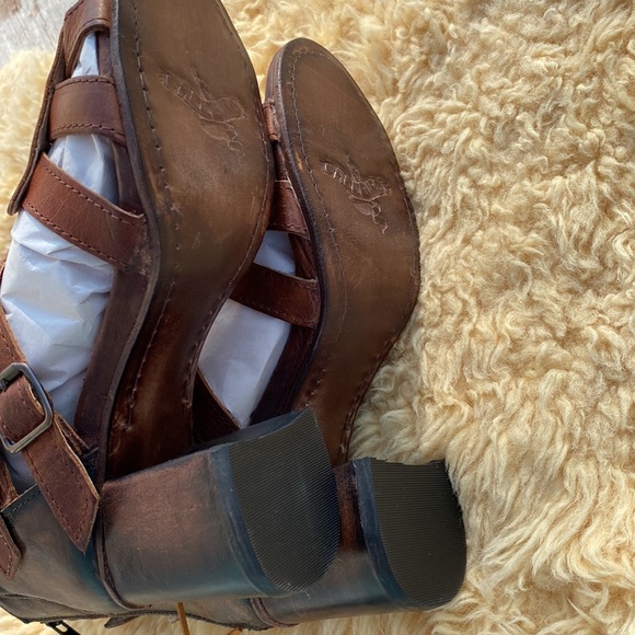 Brand new FREEBIRDS! These are the Beautiful ZUES. - Picture 4 of 7